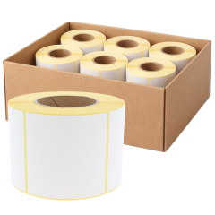 Thermotransfer Etiketten, Papier, 100 x 100 mm, 6 Rollen im Karton - Zum Produkt